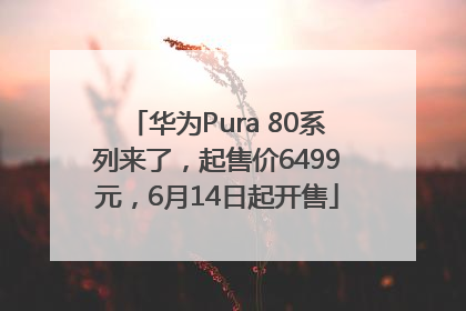 华为Pura 80系列来了，起售价6499元，6月14日起开售