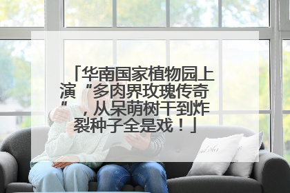 华南国家植物园上演“多肉界玫瑰传奇”，从呆萌树干到炸裂种子全是戏！