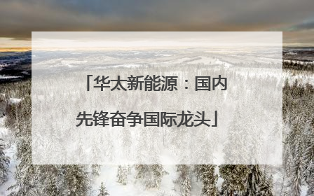 华太新能源：国内先锋奋争国际龙头