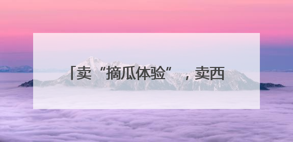 卖“摘瓜体验”，卖西瓜创意甜品，这里的西瓜卖出高价还不愁卖