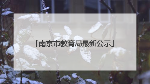南京市教育局最新公示