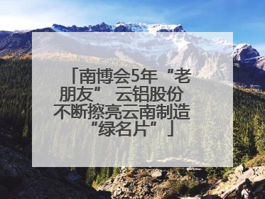 南博会5年“老朋友” 云铝股份不断擦亮云南制造“绿名片”