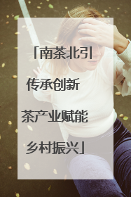 南茶北引传承创新 茶产业赋能乡村振兴
