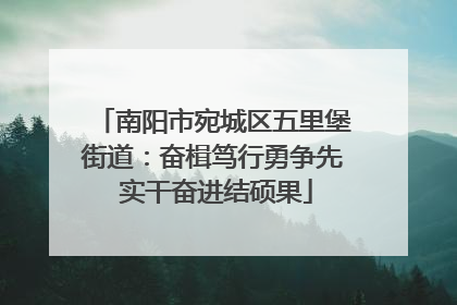 南阳市宛城区五里堡街道：奋楫笃行勇争先 实干奋进结硕果