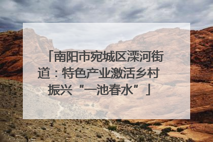 南阳市宛城区溧河街道：特色产业激活乡村振兴“一池春水”
