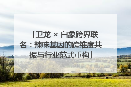 卫龙 × 白象跨界联名：辣味基因的跨维度共振与行业范式重构