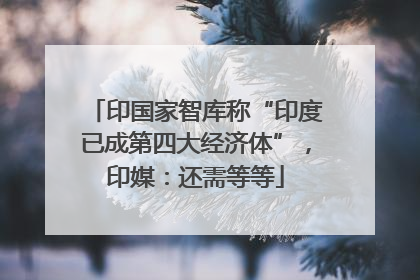 印国家智库称“印度已成第四大经济体”，印媒：还需等等