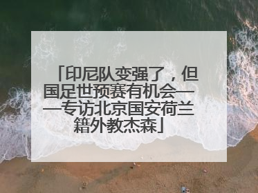 印尼队变强了，但国足世预赛有机会——专访北京国安荷兰籍外教杰森