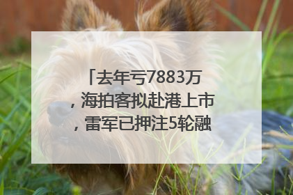 去年亏7883万，海拍客拟赴港上市，雷军已押注5轮融资｜IPO直通车