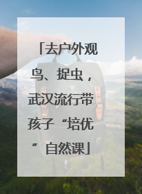 去户外观鸟、捉虫，武汉流行带孩子“培优”自然课