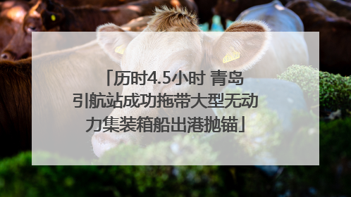 历时4.5小时 青岛引航站成功拖带大型无动力集装箱船出港抛锚