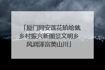 厦门同安莲花镇绘就乡村振兴新图景文明乡风润泽富美山川