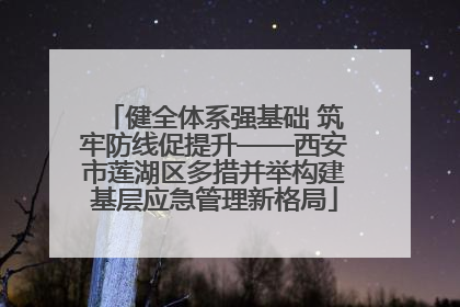 健全体系强基础 筑牢防线促提升——西安市莲湖区多措并举构建基层应急管理新格局