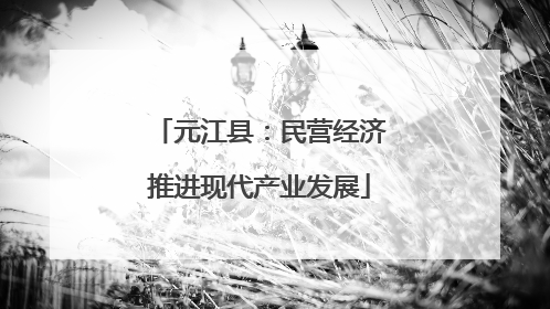 元江县：民营经济推进现代产业发展