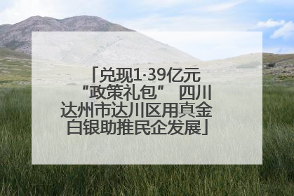 兑现1·39亿元“政策礼包” 四川达州市达川区用真金白银助推民企发展