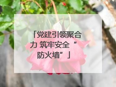 党建引领聚合力 筑牢安全“防火墙”