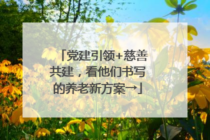 党建引领+慈善共建，看他们书写的养老新方案→