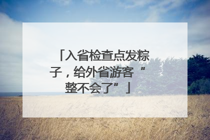 入省检查点发粽子，给外省游客“整不会了”