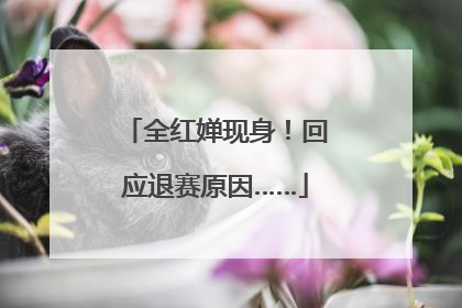 全红婵现身！回应退赛原因……