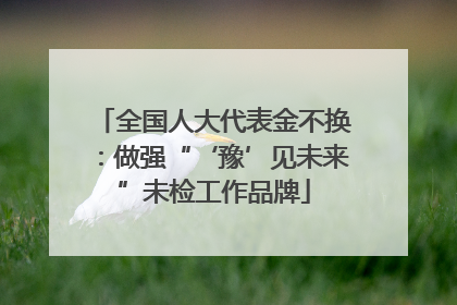 全国人大代表金不换：做强“‘豫’见未来”未检工作品牌
