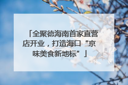 全聚德海南首家直营店开业，打造海口“京味美食新地标”