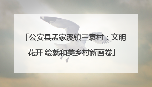 公安县孟家溪镇三袁村：文明花开 绘就和美乡村新画卷