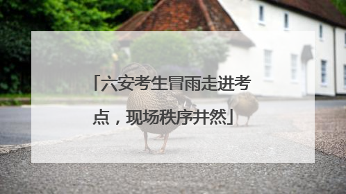 六安考生冒雨走进考点，现场秩序井然