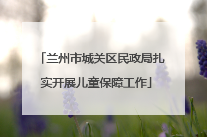 兰州市城关区民政局扎实开展儿童保障工作