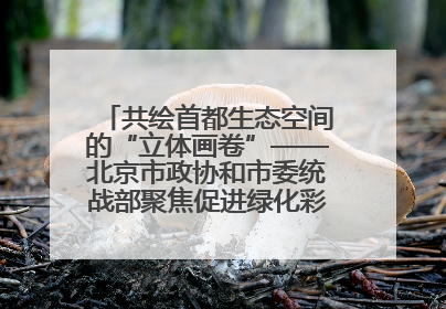共绘首都生态空间的“立体画卷”——北京市政协和市委统战部聚焦促进绿化彩化美化生态空间建设联合协商议政