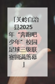关岭自治县2025年“奔跑吧少年”校园足球三级联赛圆满落幕