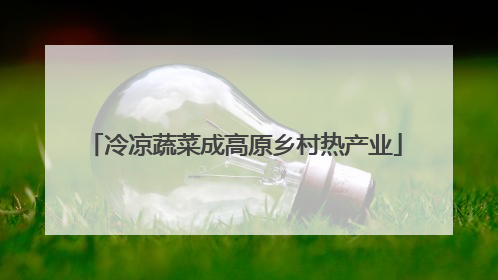 冷凉蔬菜成高原乡村热产业
