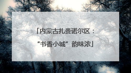 内蒙古扎赉诺尔区：“书香小城”韵味浓