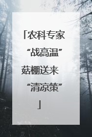 农科专家“战高温” 菇棚送来“清凉策”