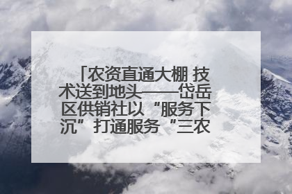 农资直通大棚 技术送到地头——岱岳区供销社以“服务下沉”打通服务“三农”最后一公里