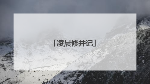 凌晨修井记