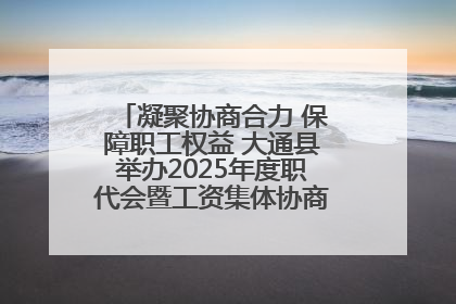 凝聚协商合力 保障职工权益 大通县举办2025年度职代会暨工资集体协商现场观摩交流活动