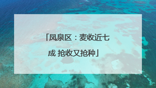 凤泉区：麦收近七成 抢收又抢种
