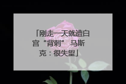 刚走一天就遭白宫“背刺” 马斯克：很失望