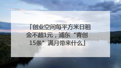 创业空间每平方米日租金不超1元，浦东“青创15条”满月带来什么
