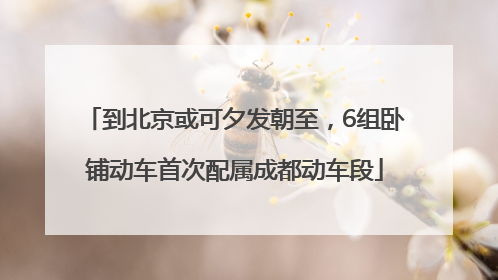 到北京或可夕发朝至，6组卧铺动车首次配属成都动车段