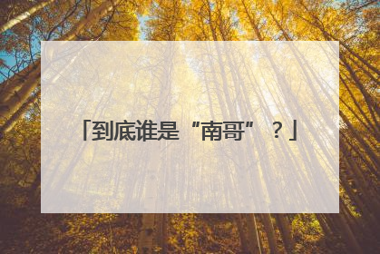 到底谁是“南哥”？