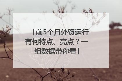前5个月外贸运行有何特点、亮点？一组数据带你看