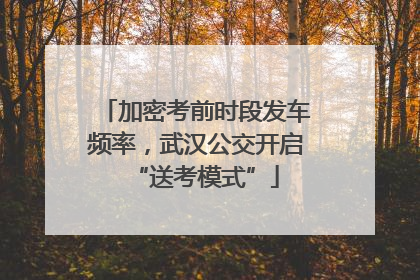 加密考前时段发车频率，武汉公交开启“送考模式”