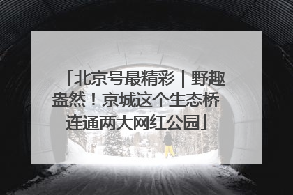 北京号最精彩｜野趣盎然！京城这个生态桥连通两大网红公园