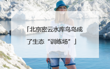 北京密云水库鸟岛成了生态“训练场”