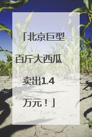 北京巨型百斤大西瓜卖出1.4万元！