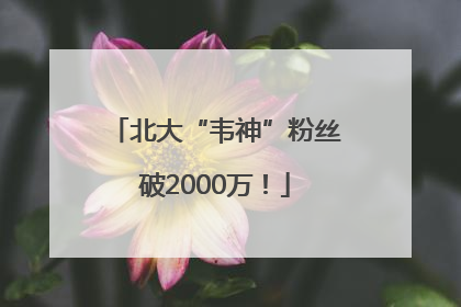 北大“韦神”粉丝破2000万！