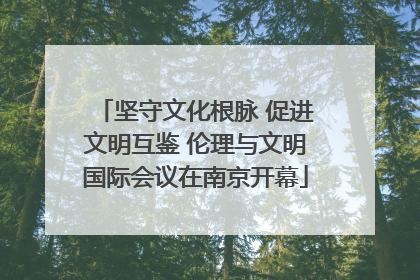 坚守文化根脉 促进文明互鉴 伦理与文明国际会议在南京开幕