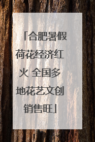 合肥暑假荷花经济红火 全国多地花艺文创销售旺
