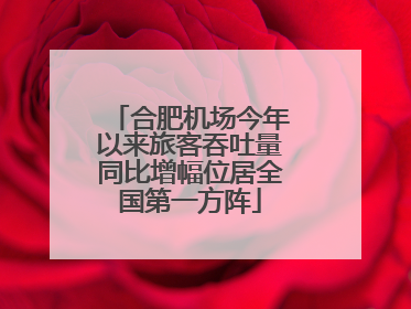 合肥机场今年以来旅客吞吐量同比增幅位居全国第一方阵